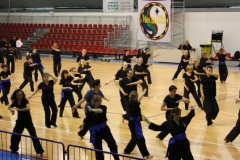 Pesaro 2010 (45)