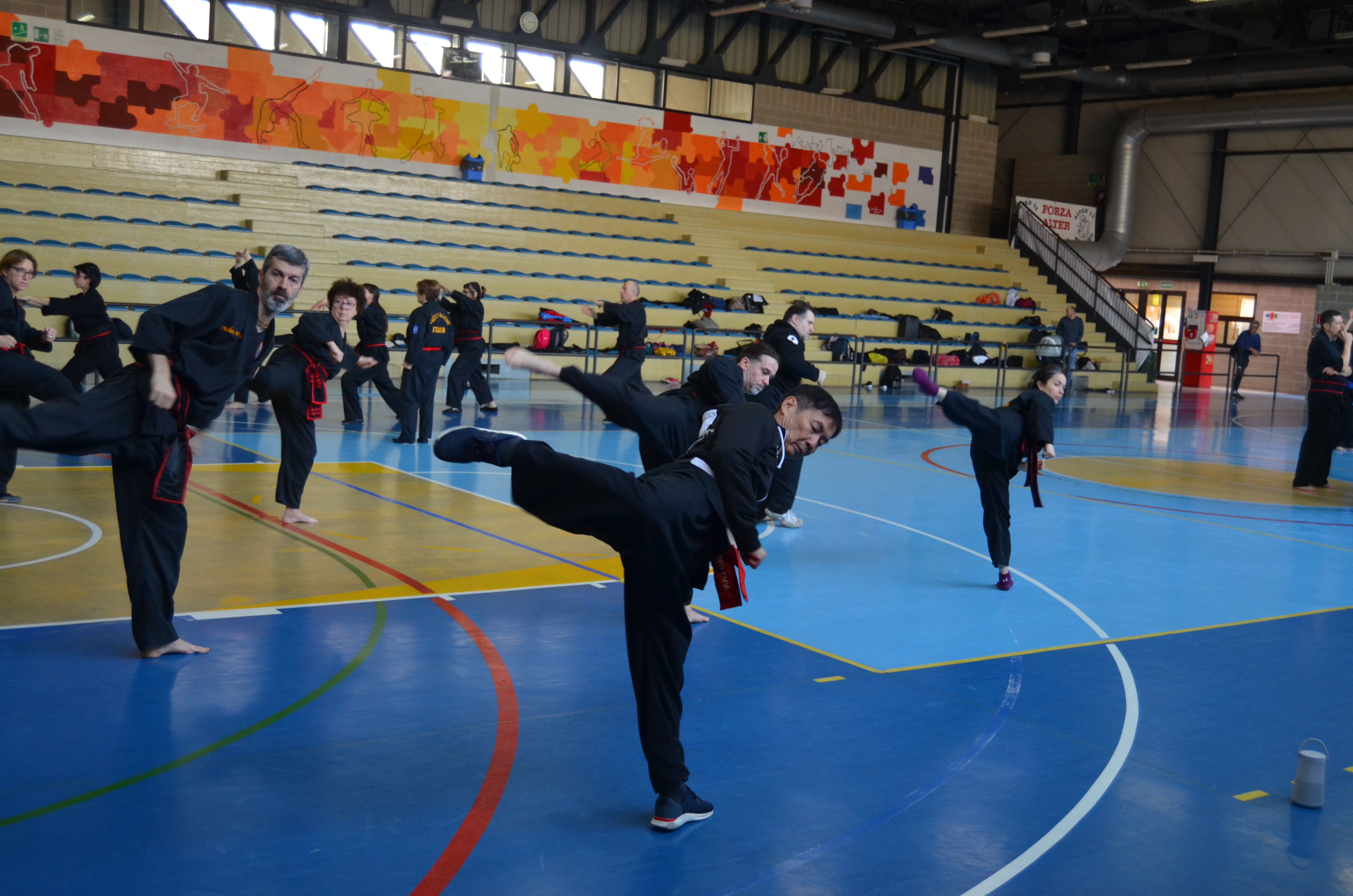 TAI_CHI_20190217_0105